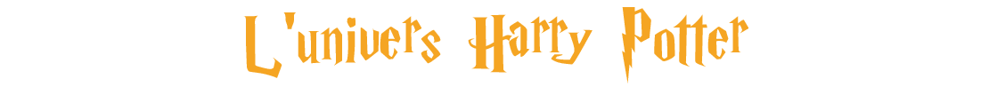 L'univers fantastique Harry Potter sur momox-shop